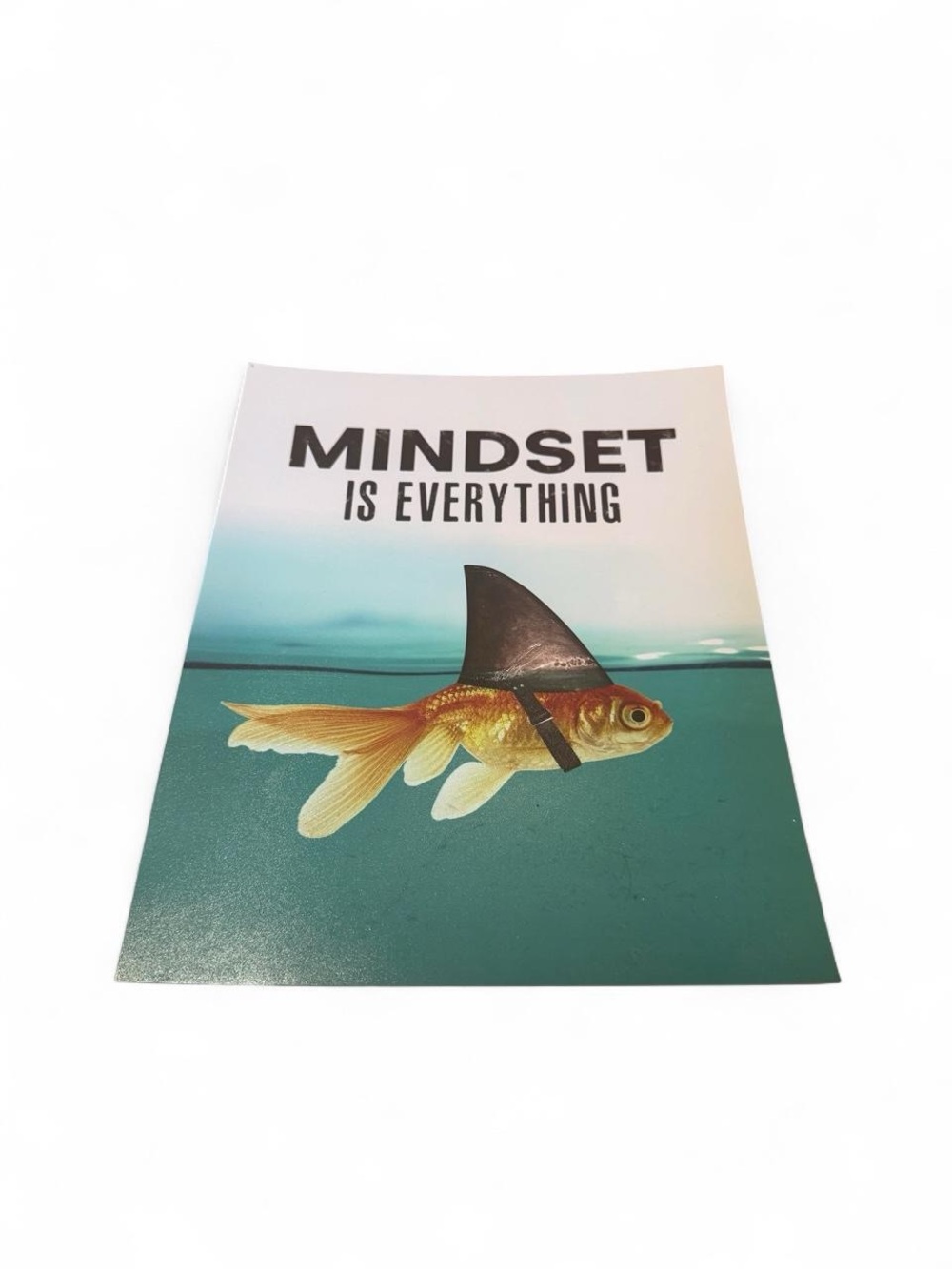 Mindset Is Everything Goldfish Wall Art Poster - Teal & Orange